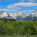 Willow Flats Overlook In Spring Photograph by Dan Sproul