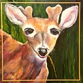 Willow Young Buck by Cheryl Nancy Ann Gordon