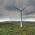 Wind Farm, Albany, Western Australia Photograph by Elaine Teague Wind Farm, Albany, Western Australia Photograph by Elaine Teague