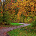 Winding Path in Autumn by Kaye Menner by Kaye Menner