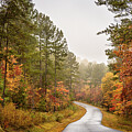 Winding Road in Fall by Joni Eskridge