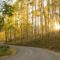 Winding Road Photograph by Wesley Aston Winding Road Photograph by Wesley Aston