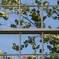 Window Time Photograph by Tony Locke Window Time Photograph by Tony Locke