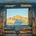 Window To The World  by Damon Shaw