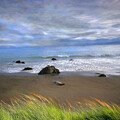 Windsong at Seal Beach by Wayne King