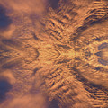 Wings of air and light Digital Art by Adriana Mueller Wings of air and light Digital Art by Adriana Mueller