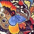 Wings Of California Painting by Lucy Arnold Wings Of California Painting by Lucy Arnold