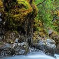 Winner Creek Gorge's Eternal Flow Photograph by Kyle Lavey