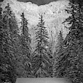 Winter Evening At Longmire - Monochrome by Inge Johnsson Winter Evening At Longmire - Monochrome by Inge Johnsson