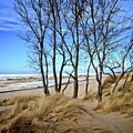 Winter at Oval Beach by Michelle Calkins