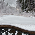 Winter at the Pond Photograph by Moira Law Winter at the Pond Photograph by Moira Law