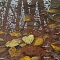 Winter Birch Leaves by Timothy Jones