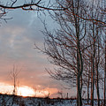 Winter Dawn With Aspen Trees Photograph by Karen Rispin Winter Dawn With Aspen Trees Photograph by Karen Rispin