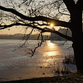 Winter sunset at Moritzburg Castle 3 Photograph by Adriana Mueller Winter sunset at Moritzburg Castle 3 Photograph by Adriana Mueller