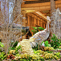 Winter exotic bird Palazzo, Las Vegas Photograph by Tatiana Travelways Winter exotic bird Palazzo, Las Vegas Photograph by Tatiana Travelways