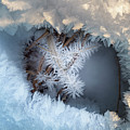 Winter Eye Pattern Photograph by Karen Rispin Winter Eye Pattern Photograph by Karen Rispin