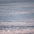Winter Farm Field Abstract Photograph by Karen Rispin Winter Farm Field Abstract Photograph by Karen Rispin