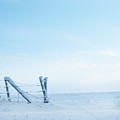 Winter Fence Photograph by Karen Rispin Winter Fence Photograph by Karen Rispin