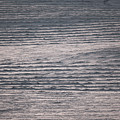Winter Field Abstract Photograph by Karen Rispin Winter Field Abstract Photograph by Karen Rispin