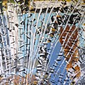 Winter Forest by Pam Roth O'Mara Winter Forest by Pam Roth O'Mara