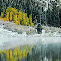 Winter Fresh Fall Photograph by Wesley Aston Winter Fresh Fall Photograph by Wesley Aston