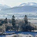 Winter in the Cairngorms by Phil Banks