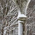 Winter in Tibbetts Brook Park 3 Photograph by Kevin Suttlehan Winter in Tibbetts Brook Park 3 Photograph by Kevin Suttlehan