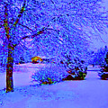Winter Morning by CHAZ Daugherty