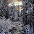 Winter morning in the Sierras  by Devin Wilson