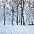 Winter on Viking Land by Randi Grace Nilsberg