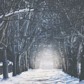 Winter Road by Carrie Ann Grippo-Pike Winter Road by Carrie Ann Grippo-Pike