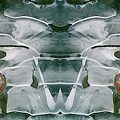 Winter Symmetry - Cycle 4 by David Hargreaves