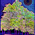 Winter Tree Night by Rod Whyte