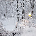 Winter by Trevor Slauenwhite Winter by Trevor Slauenwhite