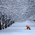 Winter Wonderland Trees Overlapping Branches Covered With Snow Boy In Orange Coat Is Making Snowman Photograph by Tatiana Bogracheva Winter Wonderland Trees Overlapping Branches Covered With Snow Boy In Orange Coat Is Making Snowman Photograph by Tatiana Bogracheva