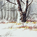 Winter Woodland by James Williamson