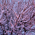 Winter_2023_2 by Gary Terry