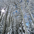 Winterburst by Saving Memories By Making Memories