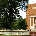 Winthrop University Concrete and Brick Sign 2 by Bob Pardue