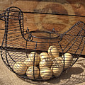 Wire Chicken Faux Eggs Photograph by Kae Cheatham Wire Chicken Faux Eggs Photograph by Kae Cheatham