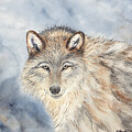 Wolf in Mist by Tamara Nelson