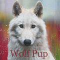 Wolf Pup Square by Karrie J Butler
