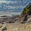 Wolfe Neck Woods Photograph by Penny Polakoff Wolfe Neck Woods Photograph by Penny Polakoff