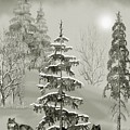 Wolves In The Winter Forest Mixed Media by David Dehner Wolves In The Winter Forest Mixed Media by David Dehner