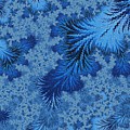 Wood Element #7 Digital Art by Mary Ann Benoit Wood Element #7 Digital Art by Mary Ann Benoit