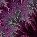 Wood Element #9 Digital Art by Mary Ann Benoit Wood Element #9 Digital Art by Mary Ann Benoit