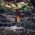 Wooden mill driven by a river Photograph by Vaclav Sonnek Wooden mill driven by a river Photograph by Vaclav Sonnek