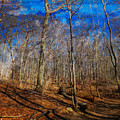 Woods with Deep Blue Sky Digital Art by Russ Considine Woods with Deep Blue Sky Digital Art by Russ Considine