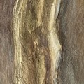 Wrapped Figure in Brown Drawing by David Euler Wrapped Figure in Brown Drawing by David Euler