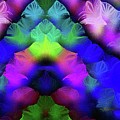 Wreath of Grace and Honor for the 500 Thousand Fallen and Those Who Loved Them Digital Art by Aberjhani Wreath of Grace and Honor for the 500 Thousand Fallen and Those Who Loved Them Digital Art by Aberjhani